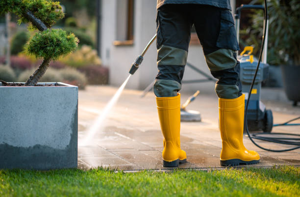 Best Pressure Washing Near Me  in Oakdale, PA